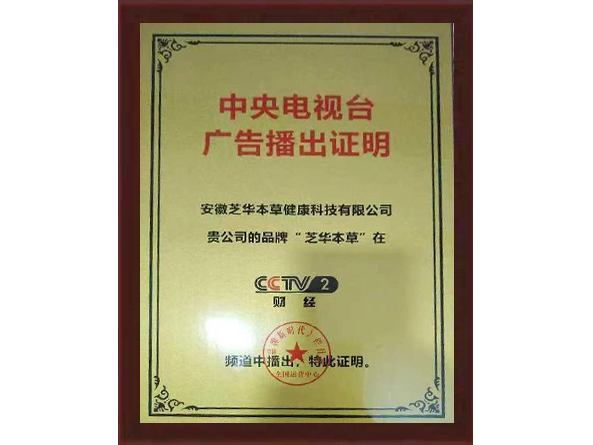 广告播出证明