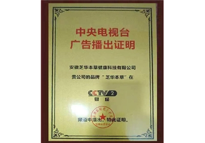 广告播出证明