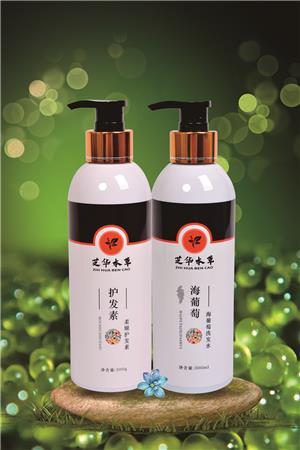 健康洗护